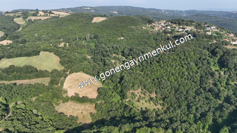 2.786 m2 Yatırımlık Tarla Bağ-Bahçe Resmi Kadastro Yolu Yoktur. - 8