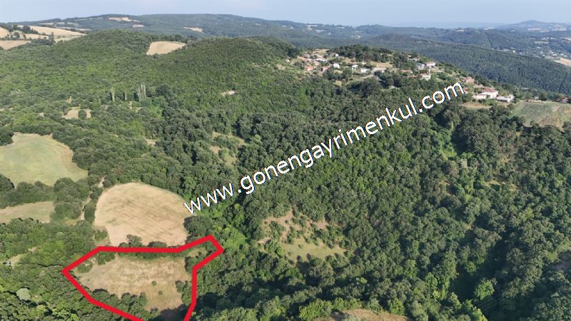 2.786 m2 Yatırımlık Tarla Bağ-Bahçe Resmi Kadastro Yolu Yoktur. - 11