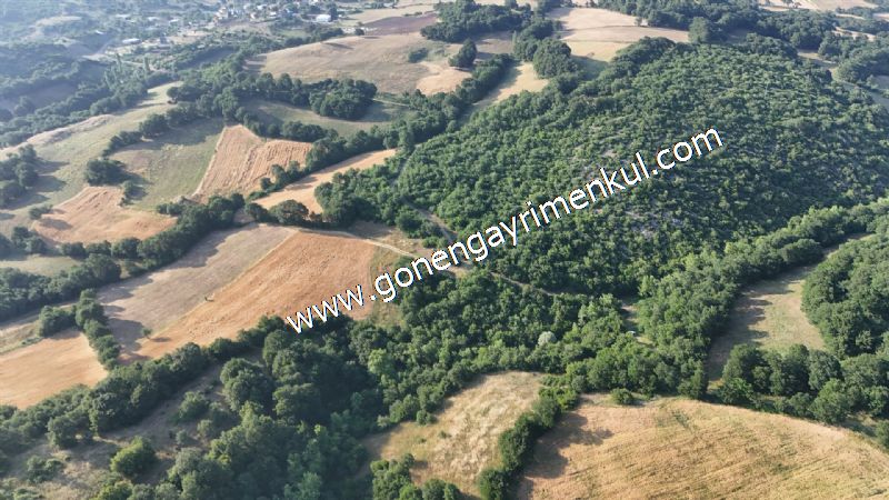 2.786 m2 Yatırımlık Tarla Bağ-Bahçe Resmi Kadastro Yolu Yoktur. - 14