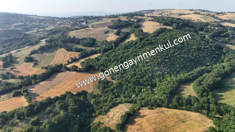2.786 m2 Yatırımlık Tarla Bağ-Bahçe Resmi Kadastro Yolu Yoktur. - 19