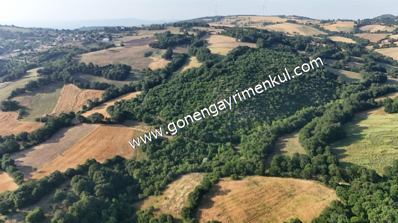 2.786 m2 Yatırımlık Tarla Bağ-Bahçe Resmi Kadastro Yolu Yoktur. - 18