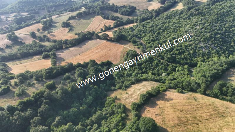 2.786 m2 Yatırımlık Tarla Bağ-Bahçe Resmi Kadastro Yolu Yoktur. - 21