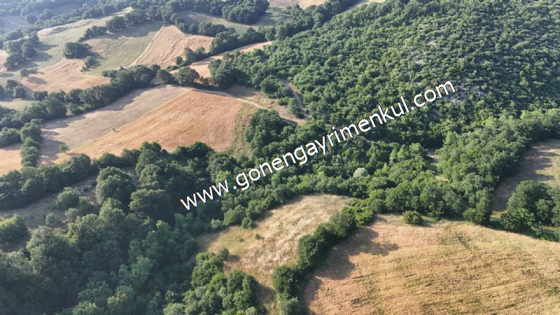 2.786 m2 Yatırımlık Tarla Bağ-Bahçe Resmi Kadastro Yolu Yoktur. - 22