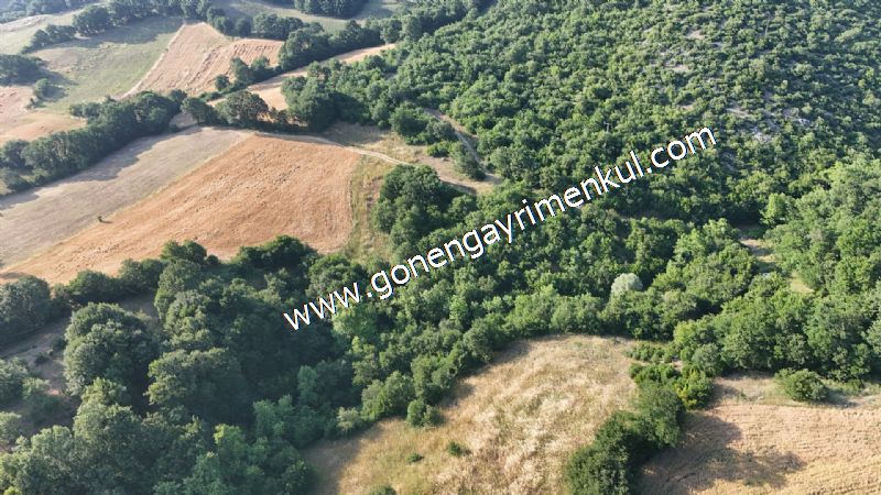2.786 m2 Yatırımlık Tarla Bağ-Bahçe Resmi Kadastro Yolu Yoktur. - 23