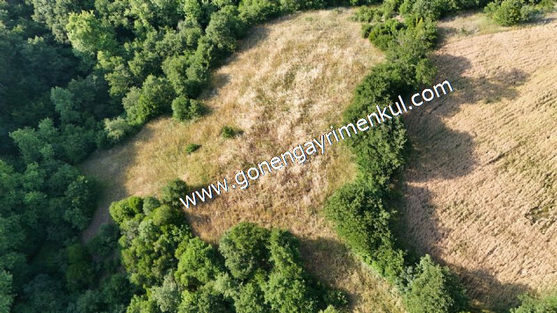 2.786 m2 Yatırımlık Tarla Bağ-Bahçe Resmi Kadastro Yolu Yoktur. - 25