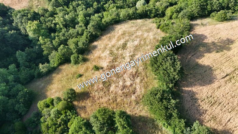 2.786 m2 Yatırımlık Tarla Bağ-Bahçe Resmi Kadastro Yolu Yoktur. - 26
