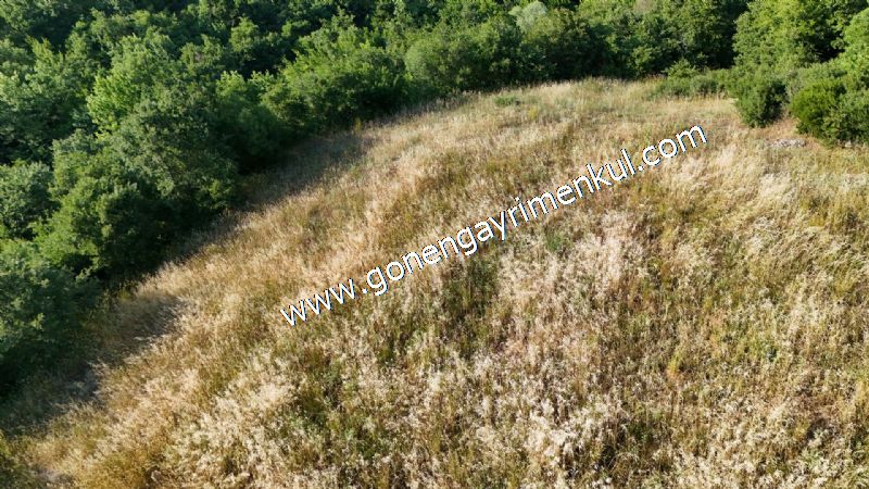 2.786 m2 Yatırımlık Tarla Bağ-Bahçe Resmi Kadastro Yolu Yoktur. - 28
