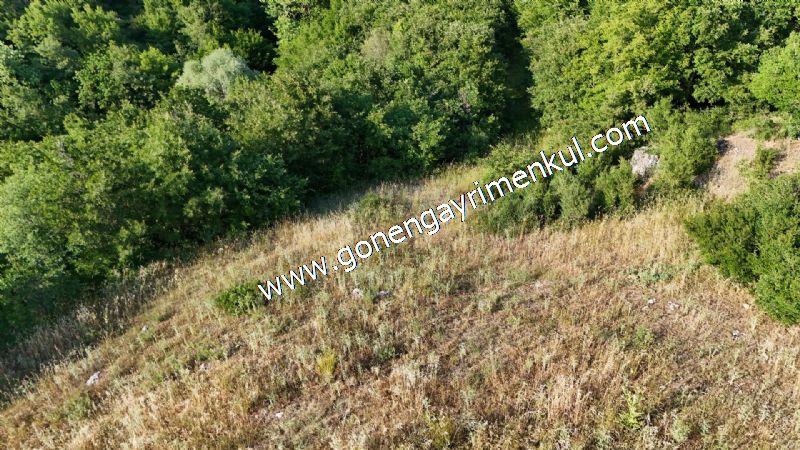2.786 m2 Yatırımlık Tarla Bağ-Bahçe Resmi Kadastro Yolu Yoktur. - 29