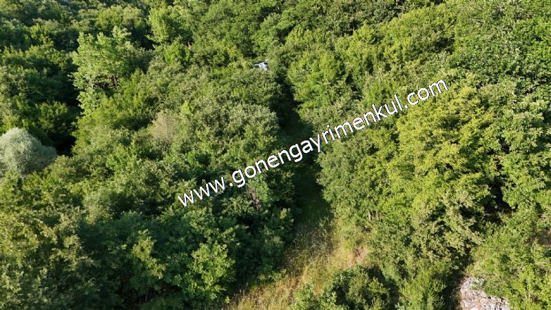 2.786 m2 Yatırımlık Tarla Bağ-Bahçe Resmi Kadastro Yolu Yoktur. - 30