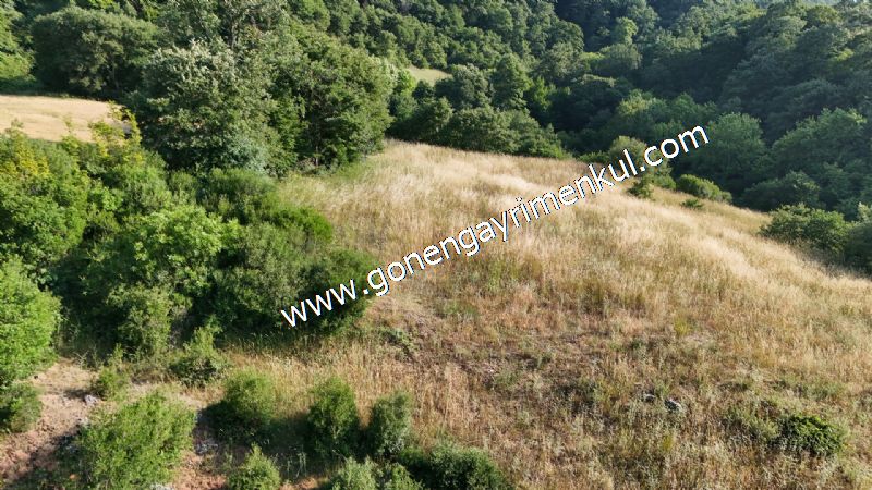 2.786 m2 Yatırımlık Tarla Bağ-Bahçe Resmi Kadastro Yolu Yoktur. - 31