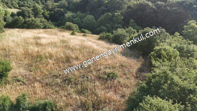 2.786 m2 Yatırımlık Tarla Bağ-Bahçe Resmi Kadastro Yolu Yoktur. - 33