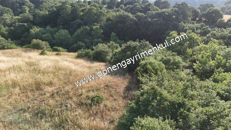 2.786 m2 Yatırımlık Tarla Bağ-Bahçe Resmi Kadastro Yolu Yoktur. - 32