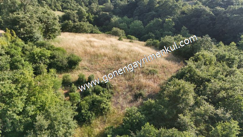 2.786 m2 Yatırımlık Tarla Bağ-Bahçe Resmi Kadastro Yolu Yoktur. - 34