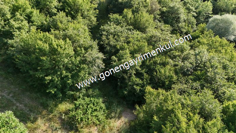 2.786 m2 Yatırımlık Tarla Bağ-Bahçe Resmi Kadastro Yolu Yoktur. - 36