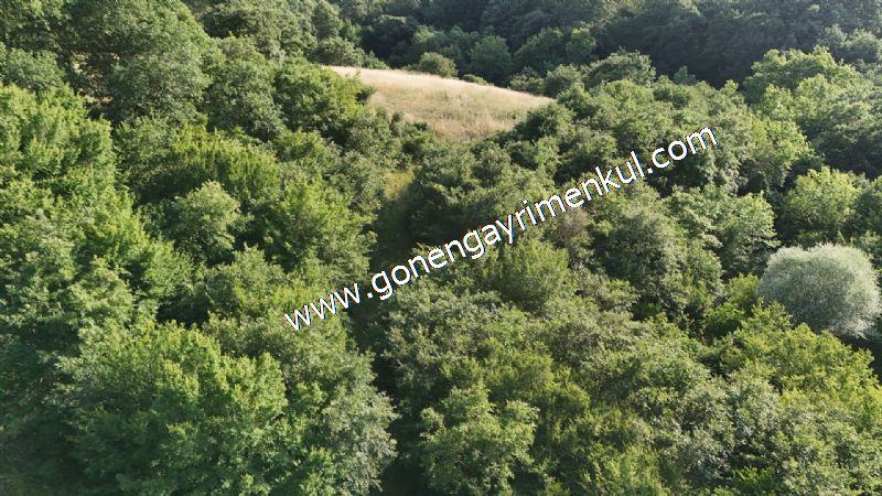 2.786 m2 Yatırımlık Tarla Bağ-Bahçe Resmi Kadastro Yolu Yoktur. - 37