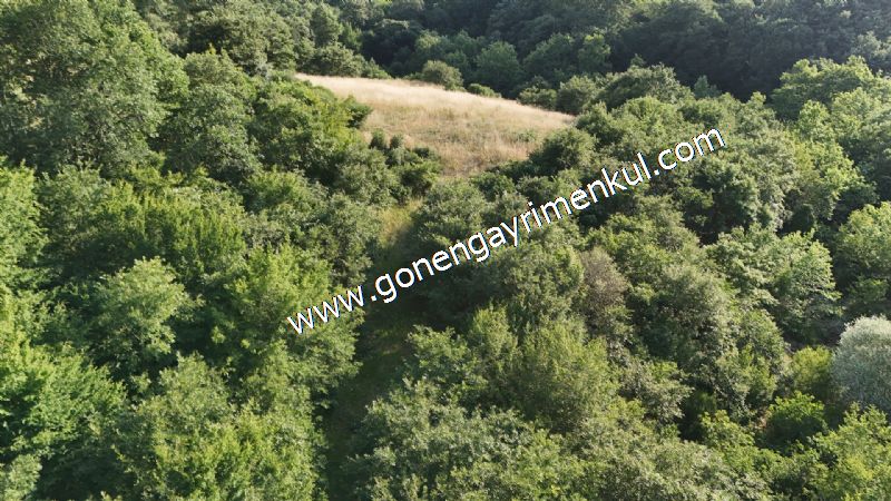 2.786 m2 Yatırımlık Tarla Bağ-Bahçe Resmi Kadastro Yolu Yoktur. - 38