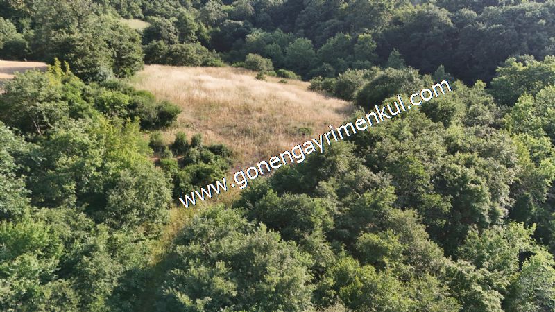 2.786 m2 Yatırımlık Tarla Bağ-Bahçe Resmi Kadastro Yolu Yoktur. - 39