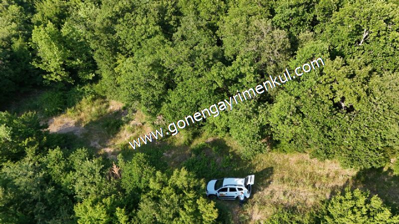 2.786 m2 Yatırımlık Tarla Bağ-Bahçe Resmi Kadastro Yolu Yoktur. - 41