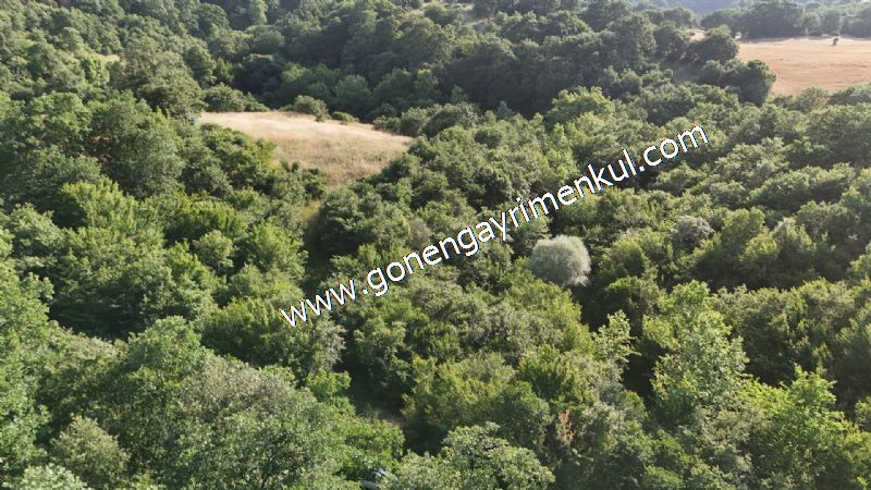 2.786 m2 Yatırımlık Tarla Bağ-Bahçe Resmi Kadastro Yolu Yoktur. - 42