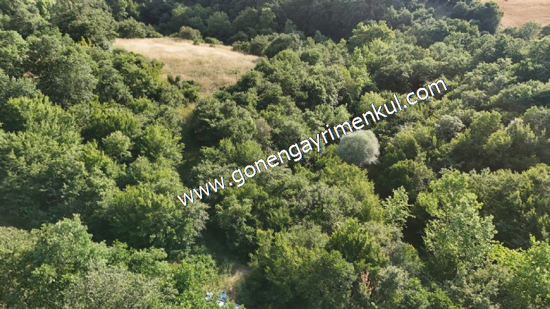 2.786 m2 Yatırımlık Tarla Bağ-Bahçe Resmi Kadastro Yolu Yoktur. - 43