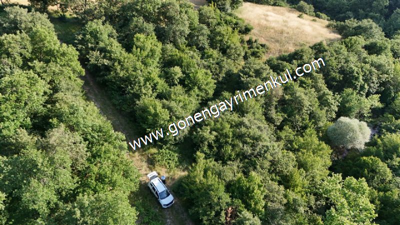 2.786 m2 Yatırımlık Tarla Bağ-Bahçe Resmi Kadastro Yolu Yoktur. - 44