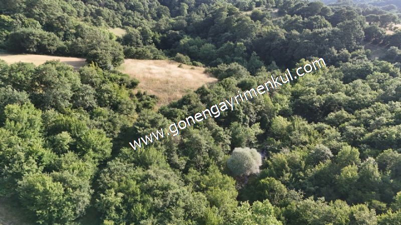 2.786 m2 Yatırımlık Tarla Bağ-Bahçe Resmi Kadastro Yolu Yoktur. - 45