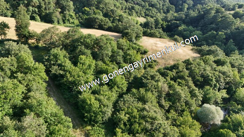 2.786 m2 Yatırımlık Tarla Bağ-Bahçe Resmi Kadastro Yolu Yoktur. - 46