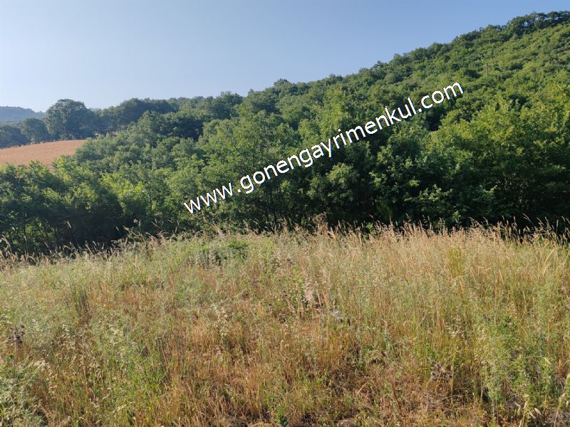2.786 m2 Yatırımlık Tarla Bağ-Bahçe Resmi Kadastro Yolu Yoktur. - 47