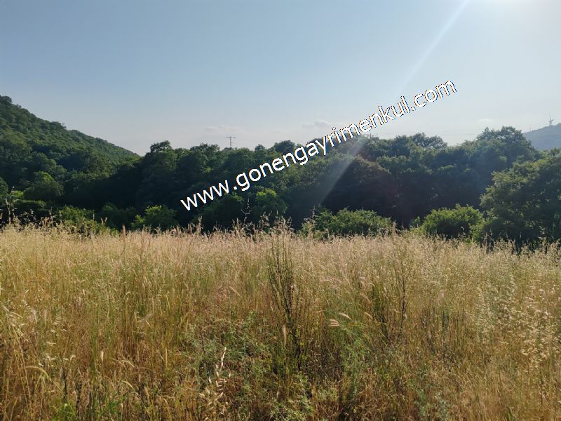 2.786 m2 Yatırımlık Tarla Bağ-Bahçe Resmi Kadastro Yolu Yoktur. - 49