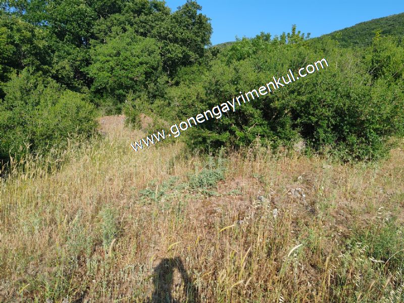 2.786 m2 Yatırımlık Tarla Bağ-Bahçe Resmi Kadastro Yolu Yoktur. - 52