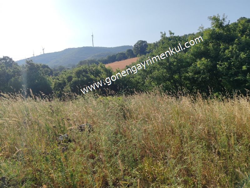 2.786 m2 Yatırımlık Tarla Bağ-Bahçe Resmi Kadastro Yolu Yoktur. - 53