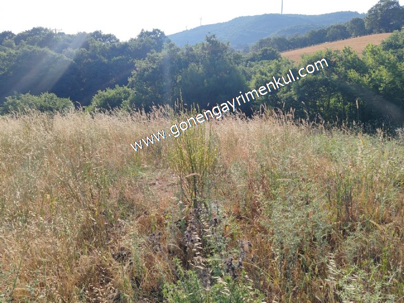 2.786 m2 Yatırımlık Tarla Bağ-Bahçe Resmi Kadastro Yolu Yoktur. - 55