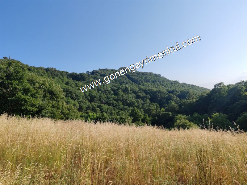 2.786 m2 Yatırımlık Tarla Bağ-Bahçe Resmi Kadastro Yolu Yoktur. - 57