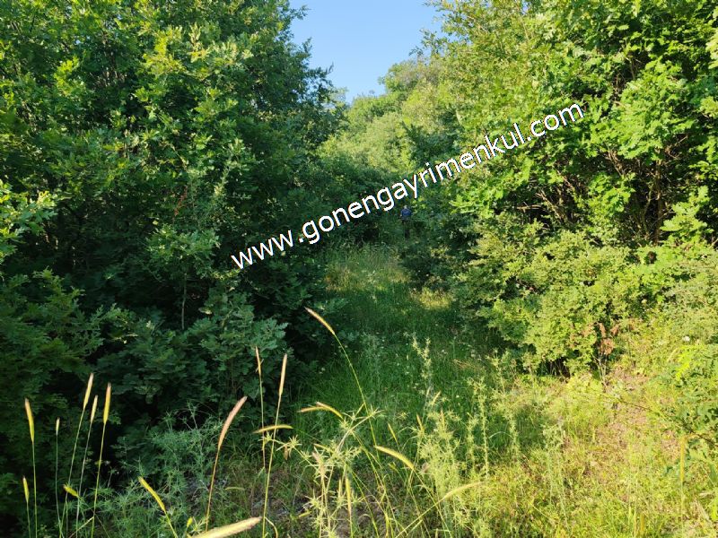 2.786 m2 Yatırımlık Tarla Bağ-Bahçe Resmi Kadastro Yolu Yoktur. - 60