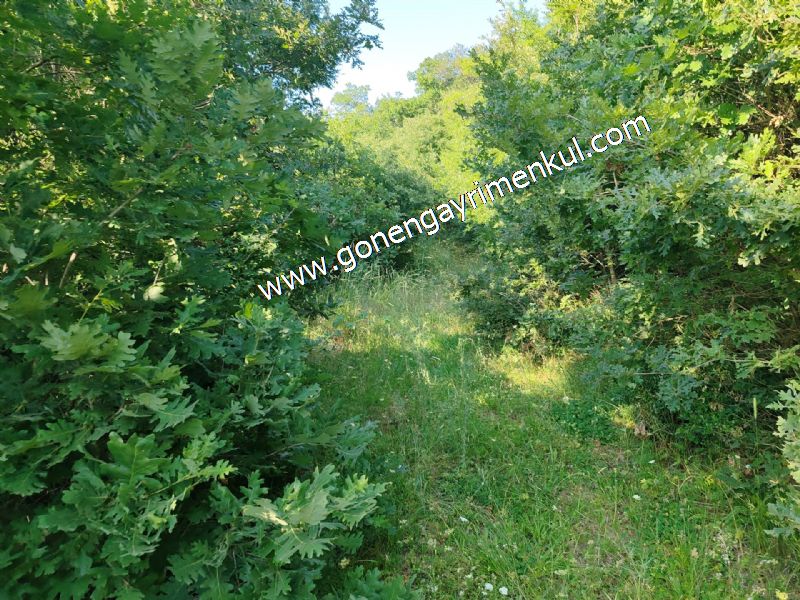 2.786 m2 Yatırımlık Tarla Bağ-Bahçe Resmi Kadastro Yolu Yoktur. - 61