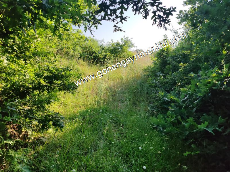 2.786 m2 Yatırımlık Tarla Bağ-Bahçe Resmi Kadastro Yolu Yoktur. - 62