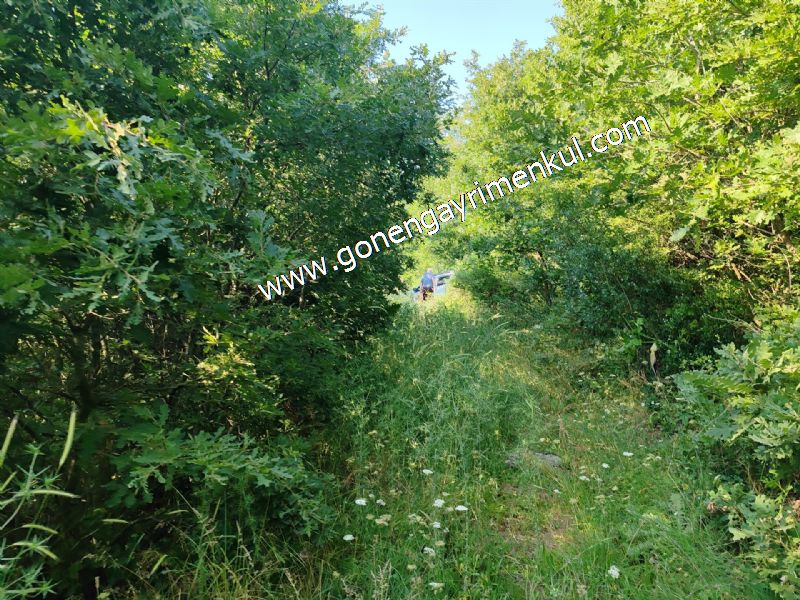 2.786 m2 Yatırımlık Tarla Bağ-Bahçe Resmi Kadastro Yolu Yoktur. - 63
