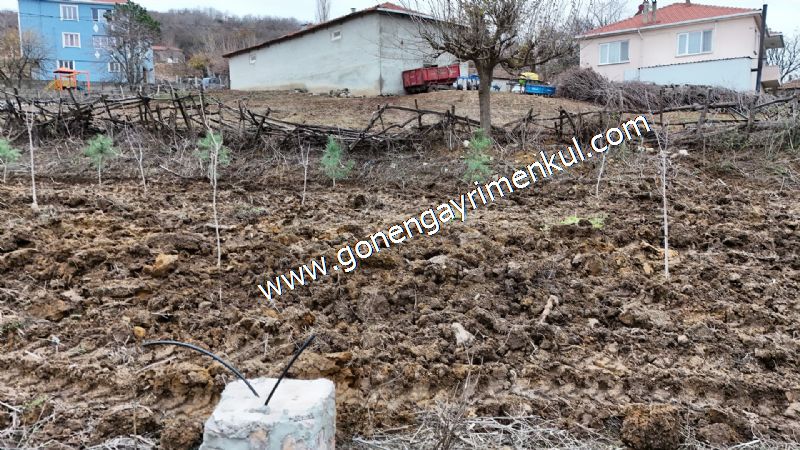 556 m2 İmarlı 2 kat %40 Arsa Köy Evi Ortasında - 27