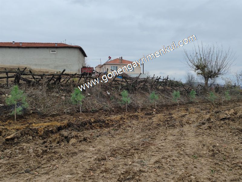 556 m2 İmarlı 2 kat %40 Arsa Köy Evi Ortasında - 71